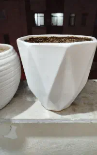 تعدادی گلدان خالی