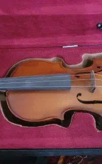 ویولن ویالون ویلن باخ چینی