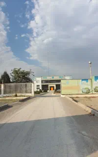 نقاش ماهر