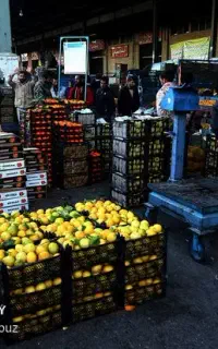نیازمند کار در میدان تره بار مرکزی تهران