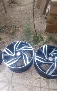 فونیکس16