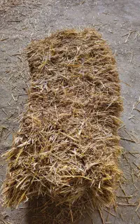 کاه پرس شده ی گندم