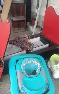 تخت و روروک