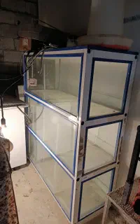 ویترین شیشه ای دو در