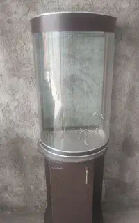 ماهی