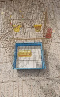 قفس بزرگ