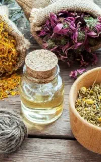 کار آنلاین برای خانم های فعال