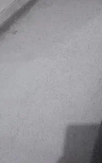 پالاز موکت