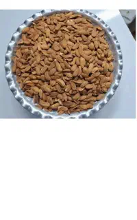 فروش عمده مغز بادام درختی ایرانی