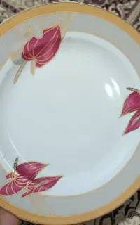 ۶عدد بشقاب گل قرمز موجوده