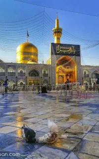 تور‌مشهد‌برای‌آبان‌ماه‌باقطار11.900
