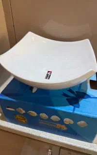 ظرف سرامیکی