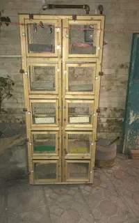 قفس کبوتر