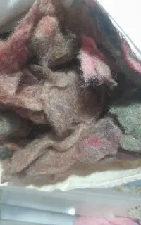 پشم