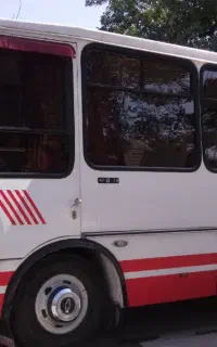 مینی بوس اویکو