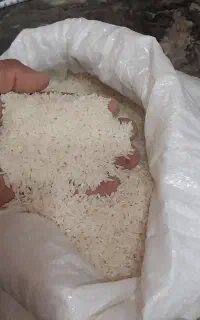 برنج مرغوب طارم هاشمی