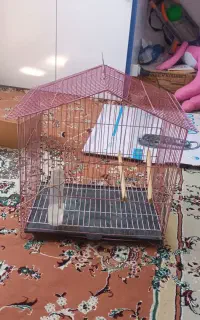 قفس پرنده