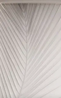 گچکاری آقای باانصاف