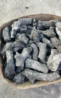 زغال پسته سفید تنه