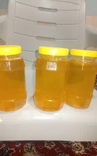 عسل کوهی طبیعی درمانی
