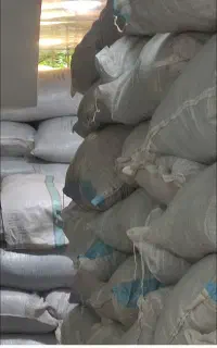 فروش چایی بهاره