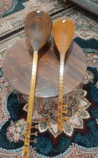 دو عدد چگور