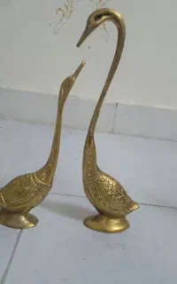 قو برنجی