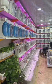 HIGH +2AJتصفیه اب شرایطی