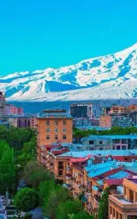 تور و کنسرت