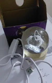 گوی دلفین