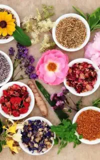 کار در منزل