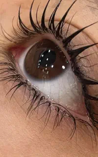 تخفیف ویژه لیفت و لمینت مژه و ابرو (پکیج اقتصادی)