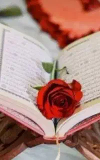 کتابتت