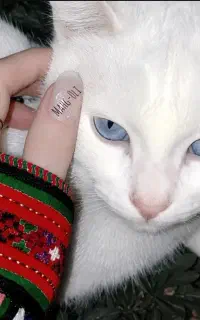 پراید 99معاوضه با سایپا400تا 405
