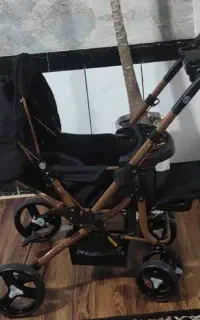 کالسکه دلیجان