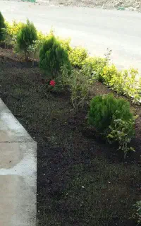 خدمات باغبانی