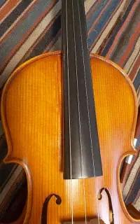 ویلن پیکابدار وین بچ wein bach