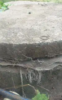 تمیزکردن ولایروبی چاه آب