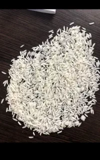 برنج شیرودی به مقدار۱۰تن بدون خورد