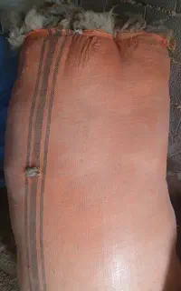 فروش پشم گوسفند