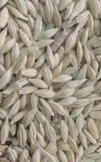 جو تناژ ۲ الی ۶ تن قیمت توافقی