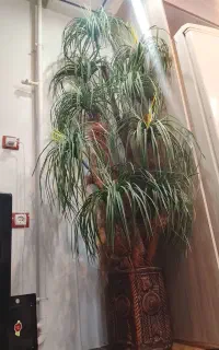گل مصنوعی