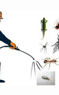 سمپاشی منزل سوسک ساس و حشرات موذی