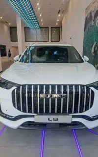 لوکانو ال 8 اقساطی/پیش پرداخت 45% تحویل 1 هفته ای