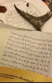 سرکتاب500