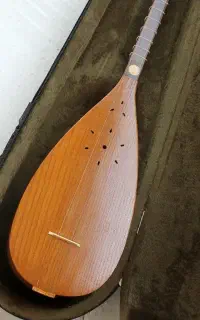 تنبور دیبا به همراه هاردکیس