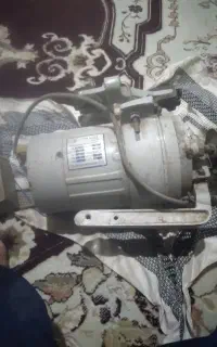دیناب