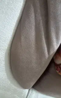 موکت