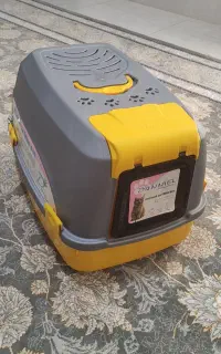 گربه