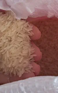 فروش برنج